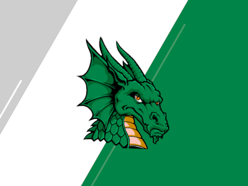 South Oldham Dragons